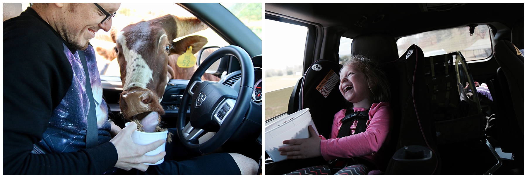2017-04-15_0018.jpg misty saves the day, virginia safari, small business owner, small business owner vacation, family vacation, massanutten resort, massanutten vacation, natural bridge, natural bridge vacation, skyline drive