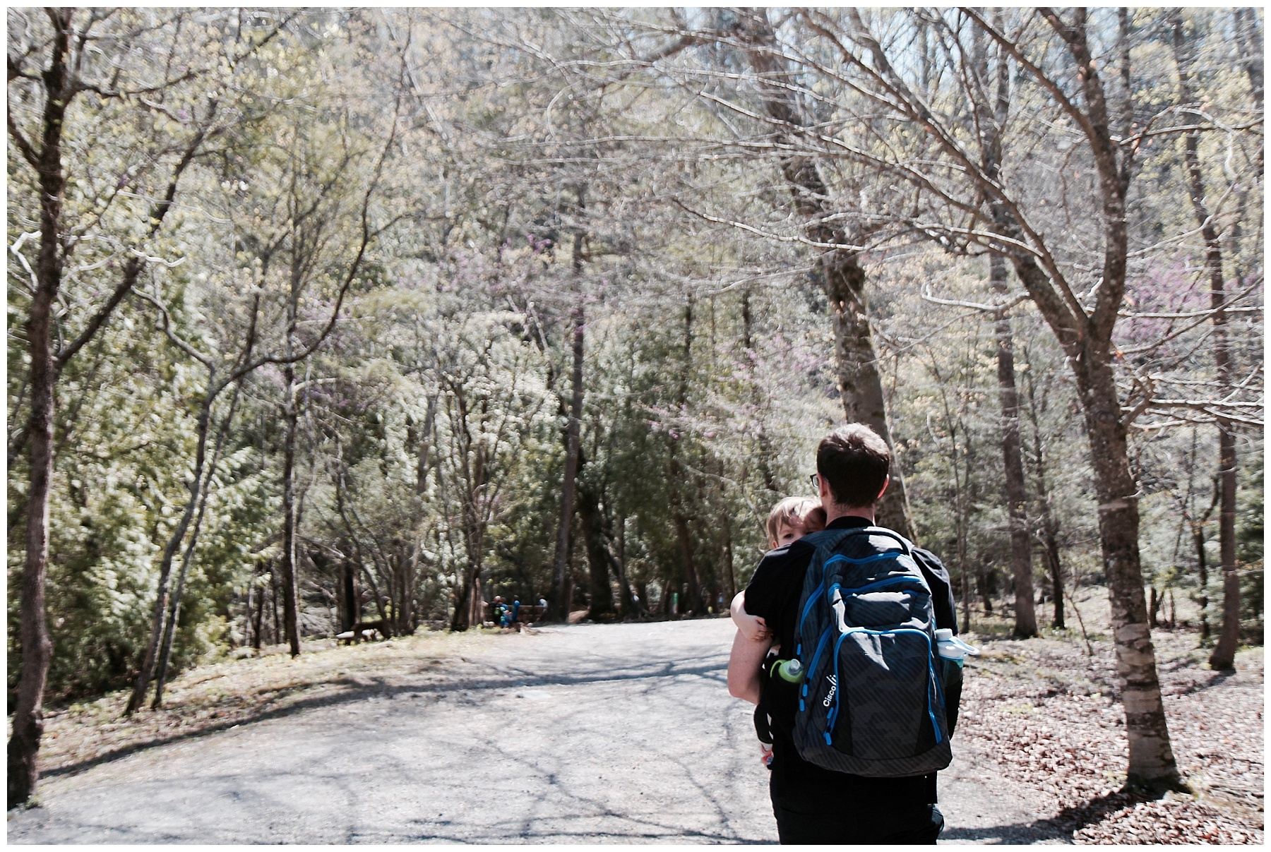2017-04-15_0033.jpg misty saves the day, small business owner, small business owner vacation, family vacation, massanutten resort, massanutten vacation, natural bridge, natural bridge vacation, skyline drive