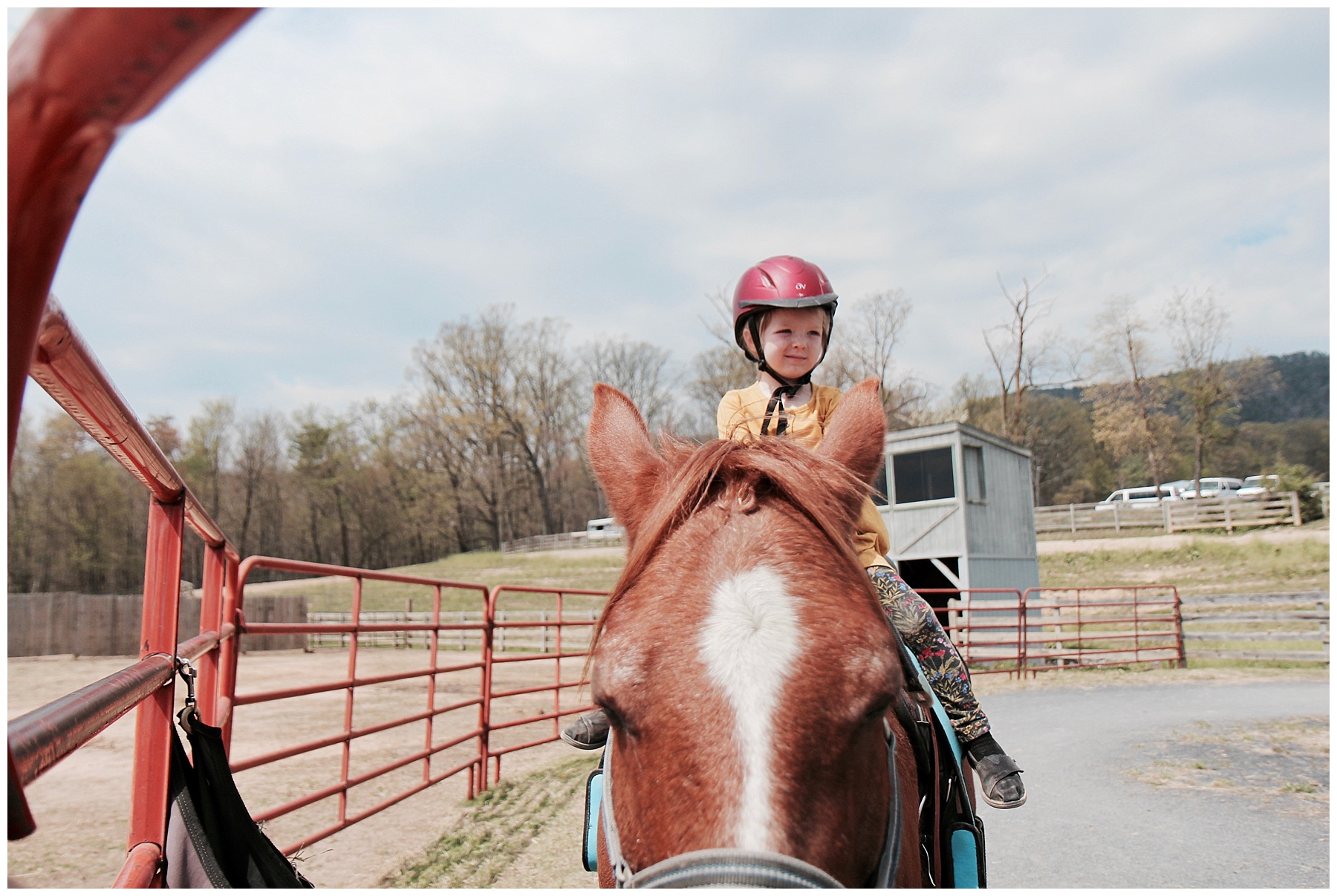 2017-04-15_0042.jpg misty saves the day, small business owner, small business owner vacation, family vacation, massanutten resort, massanutten vacation, natural bridge, natural bridge vacation, skyline drive